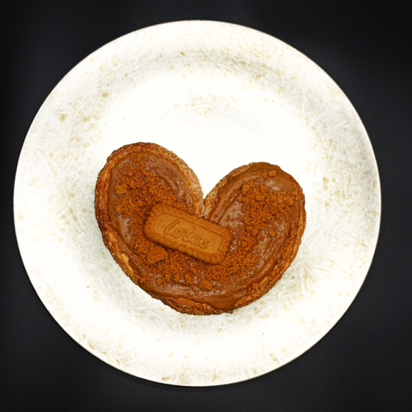 Palmera Galleta Lotus