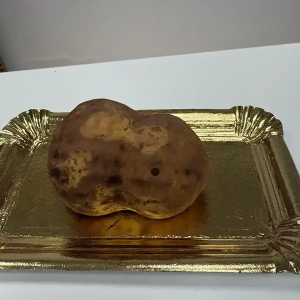 Fruta realista cacahuete