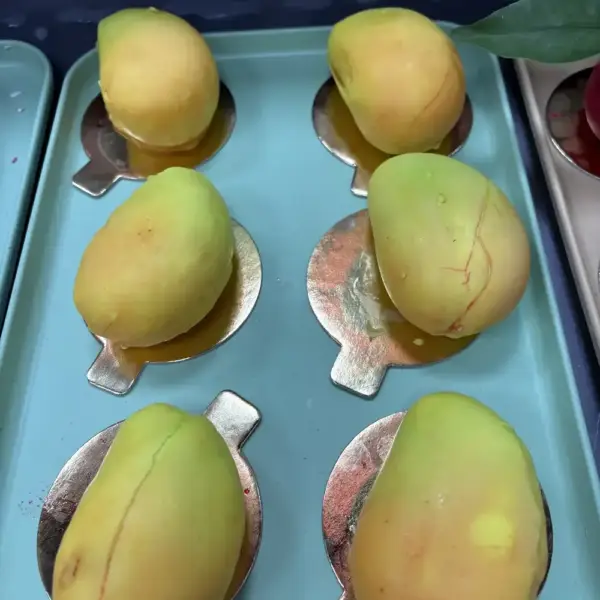Fruta realista mango